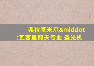 弗拉基米尔·瓦西里耶夫专业 圣光机